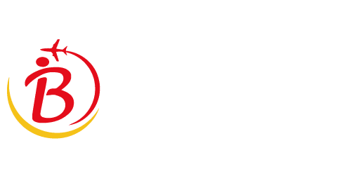BricoTravel_Logo_WebSite_Color_White